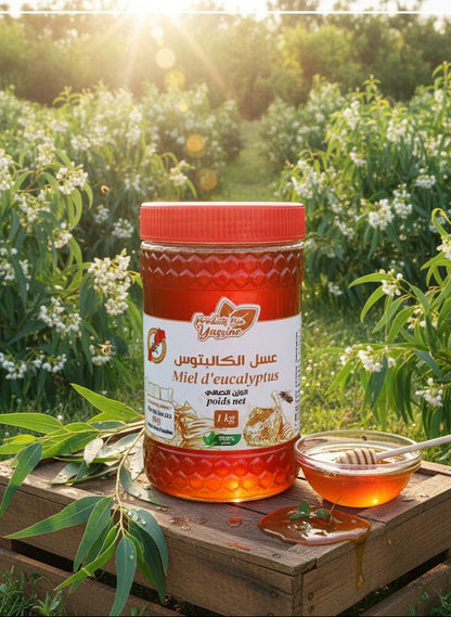 (1kg) عسل الكلبتوس طبيعي